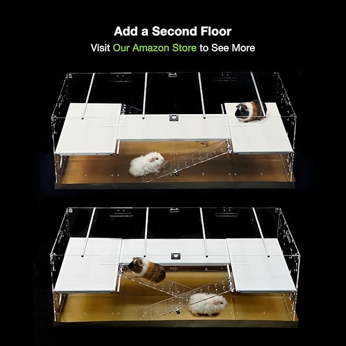 GuineaLoft™ Model-A3 Acrylic 2-Tier Cage (48"x24"x16") - Luxury Loft Habitat with 2nd Floor & Ramps - Clear Escape-Proof Enclosure for Guinea Pigs - Includes Ventilated Cover & Disposable Bottoms