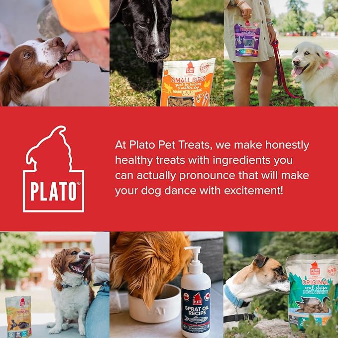 Plato Pet Treats Real Strips - Air-Dried Meat Bars for Dogs - Delicious, Limited Ingredient Dog Treats - Grain Free - Original Real Strips Turkey & Pumpkin 18oz - 2 Pack