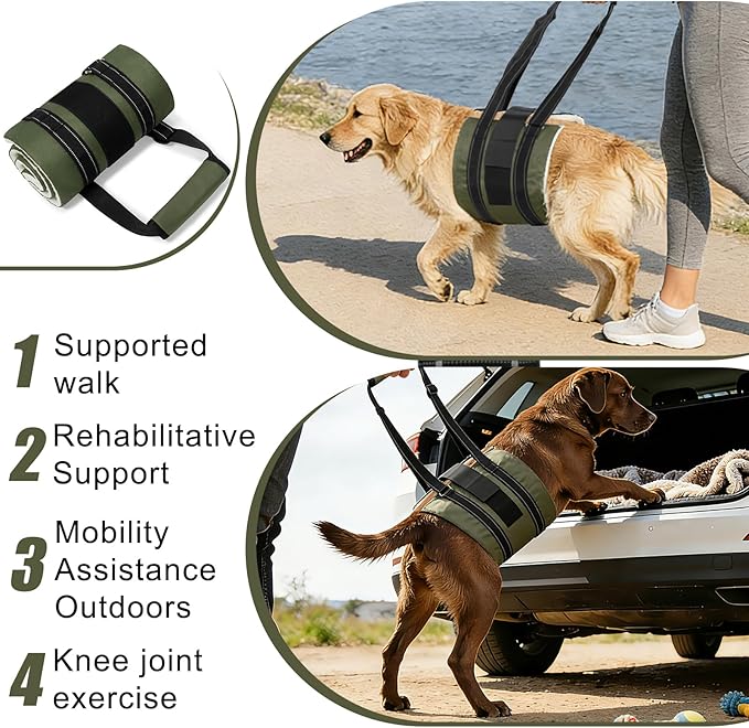 Dog Sling Adjustable Dog Lift Harness: Hip Support Sling for Dog, Dog Rehab Harness for Weak Rear Legs, Helps Disabled, Senior, Injured, and After ACL Surgery Dogs, Extra Large Dogs