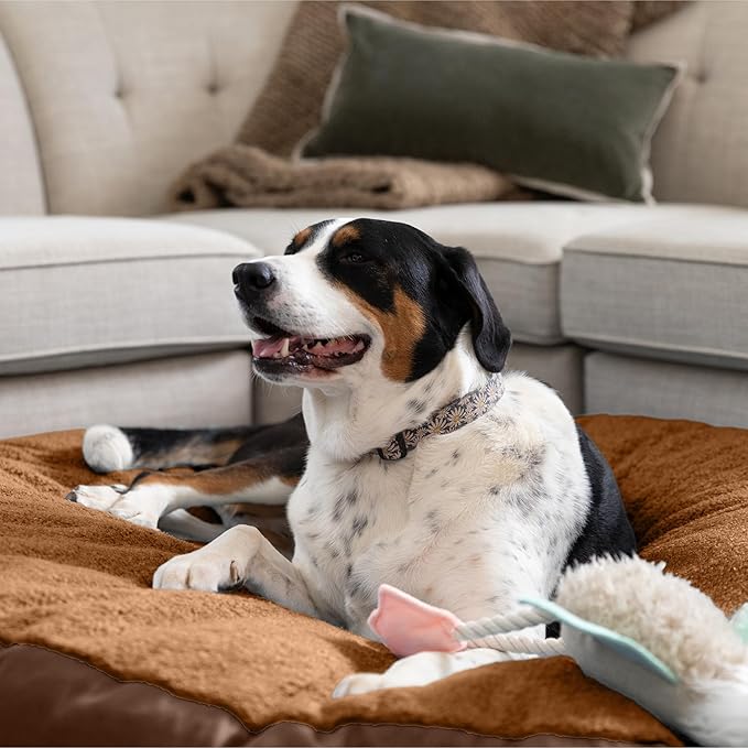 Jaxx Robbi Dog Bed Bean Bag – Round Bed with Machine Washable Cover and No-Slip Base - Supportive Memory Foam for Senior Dogs & Joint Pain Relief - Ultimate Comfort & Luxury - Large, Caramel/Chocolate