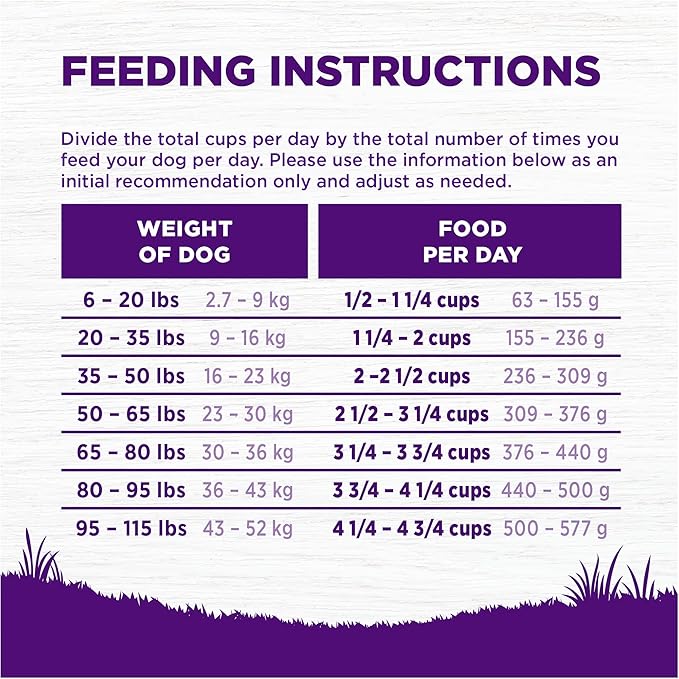 Wellness Complete Health Dry Dog Food, Grain Free, Natural, Lamb Recipe, (22-Pound Bag)