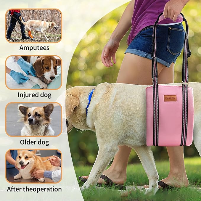 Dog Lift Harness for Large Dogs, Adjustable Comfortable Dog Sling with Handle, Knee & Rear Leg Support for Torn ACL Rehabilitation, Weak Rear Legs, Helps Senior, Disabled Canines(Pink,M)