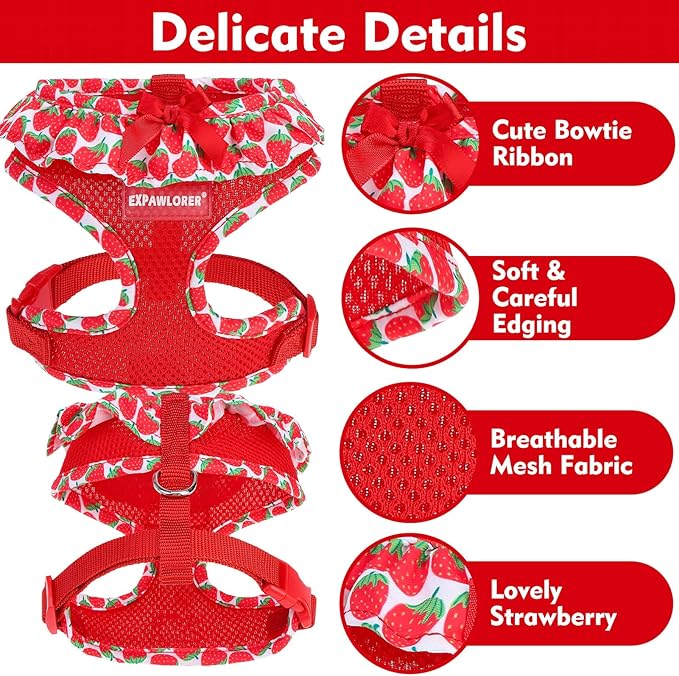 EXPAWLORER Cute Dog Harness Collar Leash Set - Red Girl Dog Harness Checkered Step-in Design, Adjustable No-Choke Lightweight Mesh Vest for Cats Puppy Small Dogs, Strawberry M