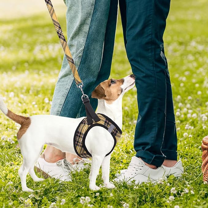 PUPTECK Adjustable Dog Harness Collar and Leash Set Step in No Pull Pet Harness for Small Medium Dogs Puppy and Cats Outdoor Walking Running, Soft Mesh Padded Reflective Vest Harnesses, Yellow, XL