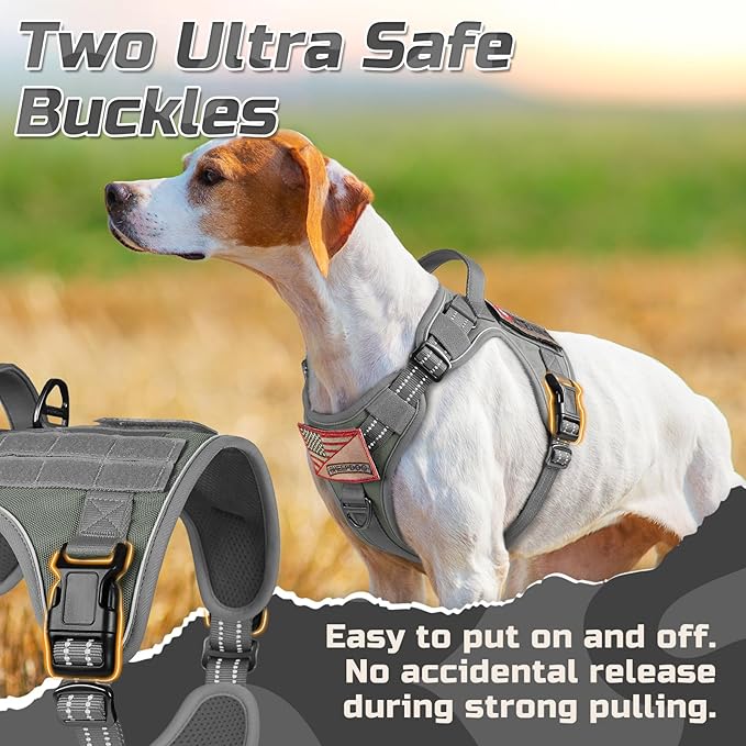 rabbitgoo Tactical Dog Harness for Small Dogs, No Pull Military Service Vest with Handle & Molle, Easy Control for Training Walking, Adjustable Reflective Straps, Dark Grey, S