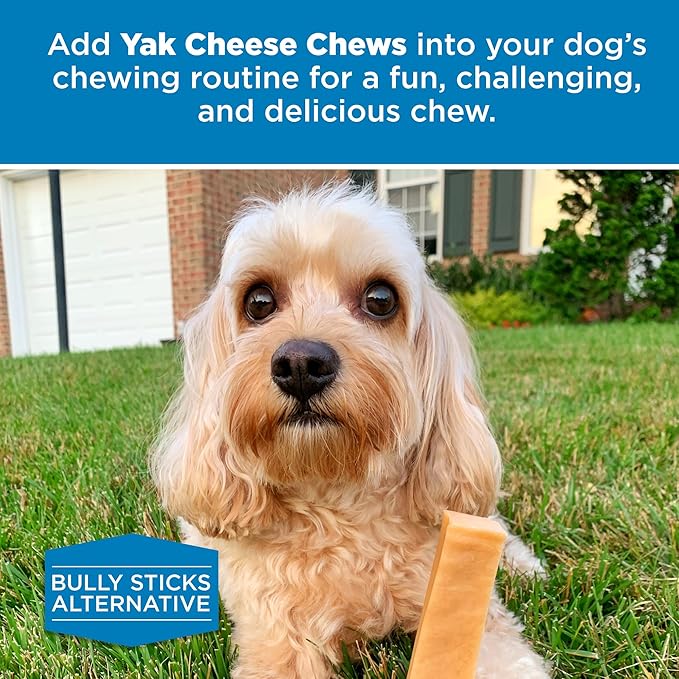Best Bully Sticks Himalayan Yak Cheese for Dogs - Small 4 Count (Pack of 1) - Natural, No Lactose, Odor Free, Long-Lasting Snack
