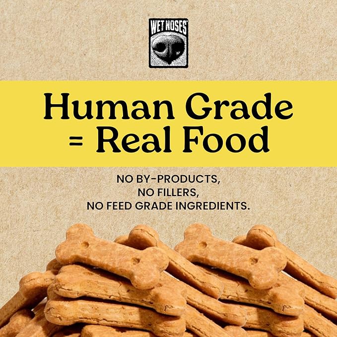 Wet Noses Moments Soft & Chewy Dog Treats – All-Natural, Human-Grade, Non-GMO, Healthy Training & Delicious Snacks for Dogs, for All Dog Sizes & Breeds – Peanut Butter & Banana, 10oz (Single Pack)