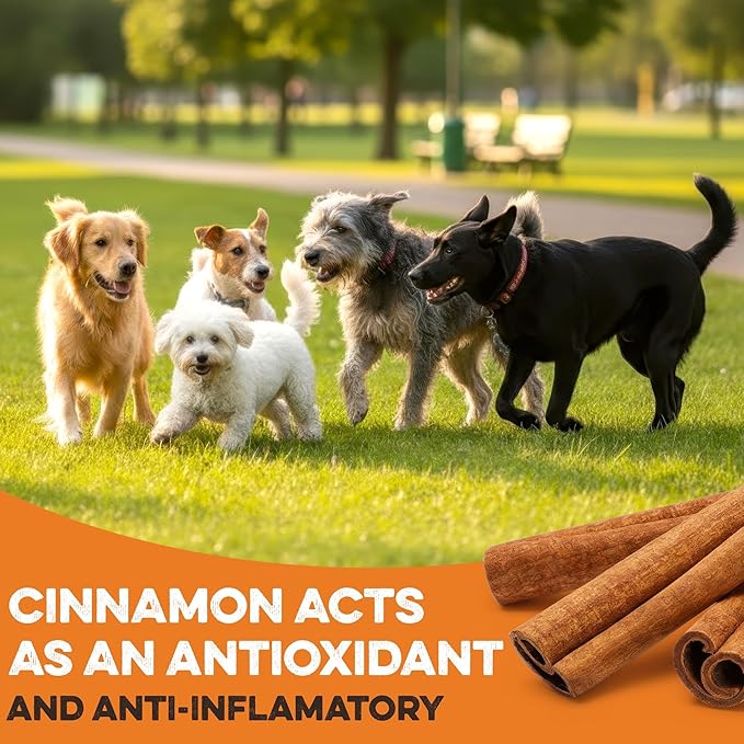 BRUTUS & BARNABY USA Sweet Potato Dog Treats - Crunchy Grain Free Cinnamon Apple Sticks, Promotes Positive Gut Health with Natural Anti-Diarrhea Properties (Cinnamon & Apple, 8 oz)