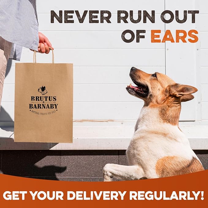 BRUTUS & BARNABY Cow Ears for Dogs – Whole Ears 100 ct, Thick Cut, Grass-Fed Angus Beef, All-Natural No-Rawhide Dog Treat Alternative