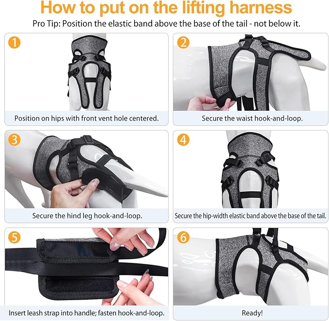 LIANZIMAU Dog Sling for Large Dogs Adjustable Hind Leg Support Lift Harness Senior Canine Mobility Aid Carrier for Back Legs Walking Rehabilitation