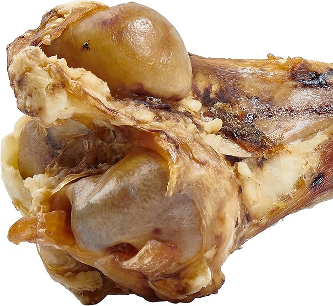 EcoKind Dog Bone Giant Femur Bone for Dogs | 1 Bone | Long Lasting Mammoth Dog Bones for Aggressive Chewers, Rawhide Free Healthy Dog Treat, Large Bones, Digestible Dog Chews & USDA Certified