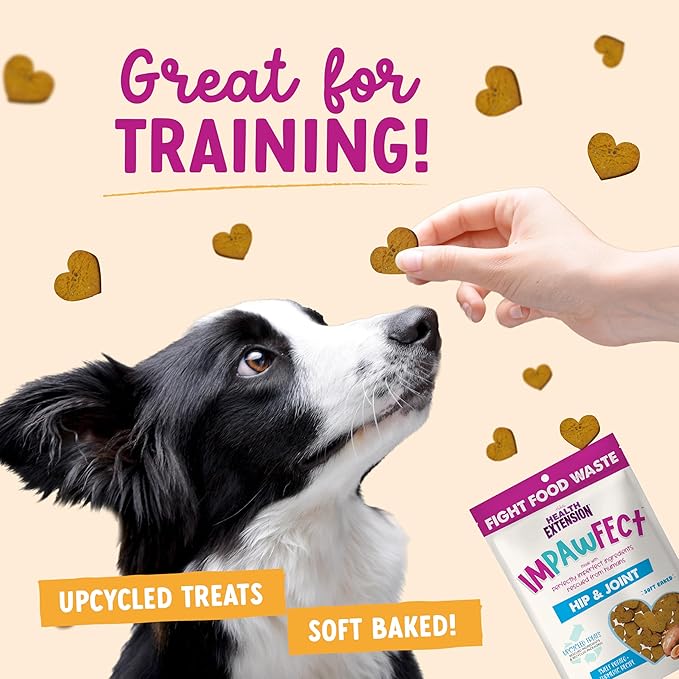 Health Extension Impawfect Dog Treats, 4.5oz (127g), Sweet Potato & Turmeric – Hip & Joint Support, Made with Rescued Ingredients, Sustainable & Perfect for Training