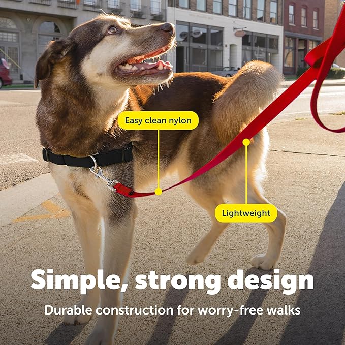 PetSafe Nylon Leash - Strong Nylon Dog Leash for Everyday Walks - Durable Pet Leash with Quick Attach Leash Clip - Comfortable Soft Grip - 6 Feet - Red