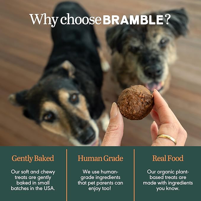 BRAMBLE Organic Dog Treats. Everyday Carob & Pumpkin Human Grade, Made with Real Ingredients, Soft & Chewy Dog Cookies. Wheat-Free Plant-Based. 8 oz