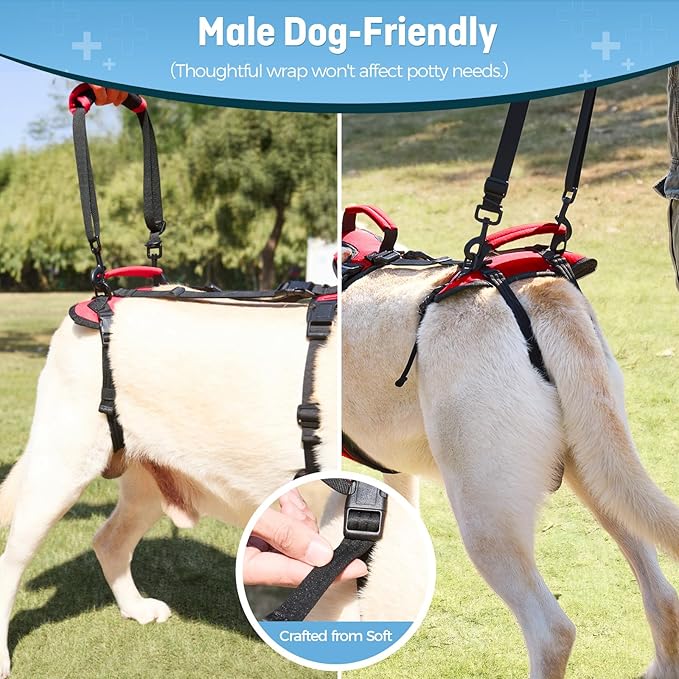 Dog Lifting Harness for Medium Dogs, Dual Handle Dog Support Harness for Daily Walking Assistance, Male Dog-Friendly, Breathable & Easy On Mobility Aid, Red, M