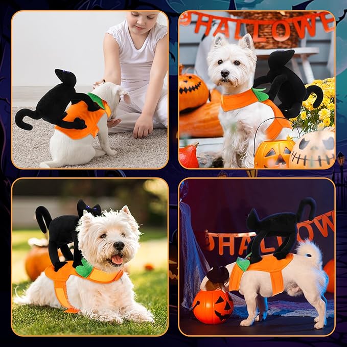 Huhumy Dog Halloween Costume Black Cat Halloween Costume for Dog Funny Riding Horse Pet Clothes for Cat Puppy Cosplay Holiday Party Dress up Accessories(Large)