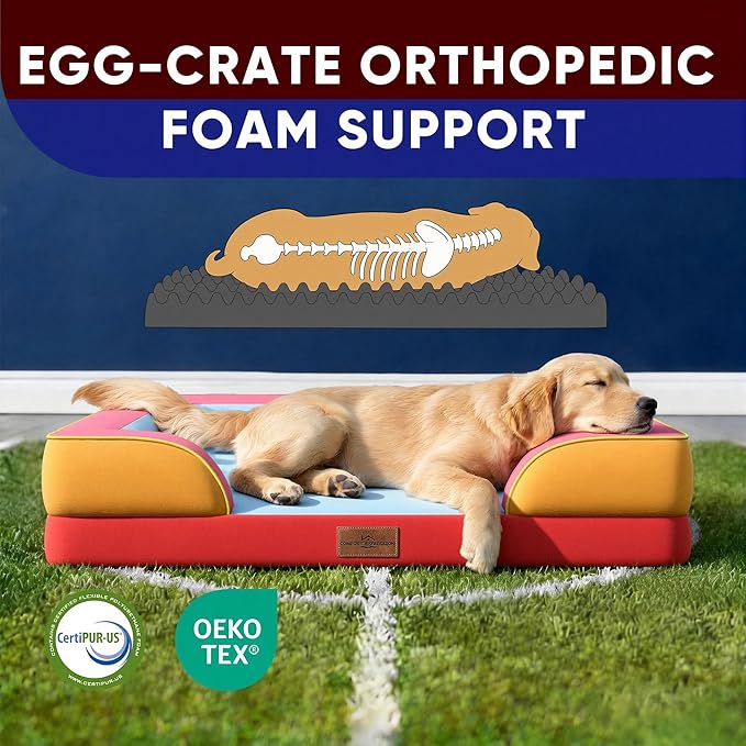 Comfort Expression Orthopedic Dog Bed for Extra Large Dogs 45x35 Inch, Waterproof Egg Crate Foam XL Pet Bed with Removable Bolsters, Dog Couch with Washable Cover & Non-Slip Bottom, Miami
