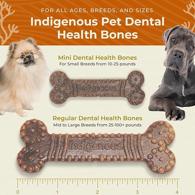 Indigenous Pet Dental Health Bones Regular 2 Pack – Chicken (17 Ounce x 2) | Grain-Free Dog Chews with Prebiotics & Omegas | Freshens Breath, Supports Digestive, Skin & Coat Health |
