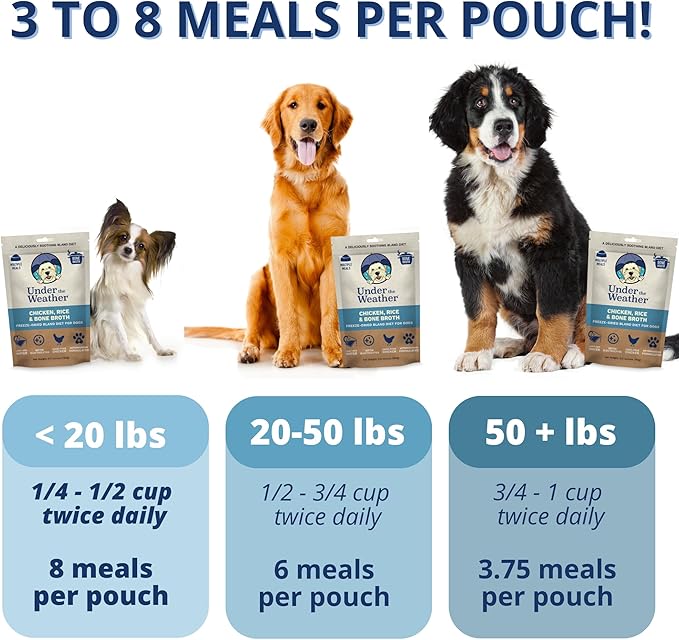 Under the Weather Easy to Digest Bland Diet for Sick Dogs - Always Be Ready - Contains Electrolytes - Gluten Free, All Natural, Freeze Dried 100% Human Grade Meats - 6 Pack Chicken, Rice & Bone Broth