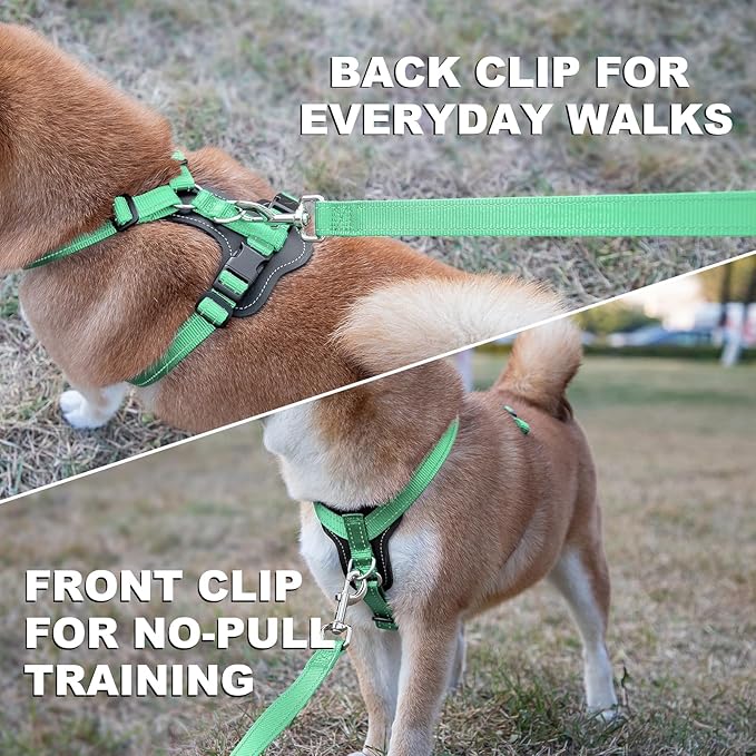 Plutus Pet Adjustable No Pull Dog Harness with Leather Accents, Heavy Duty Reflective Nylon Vest for Training, Hiking, Easy Walk Harness for Small, Medium, Large Dogs (Teal, S)
