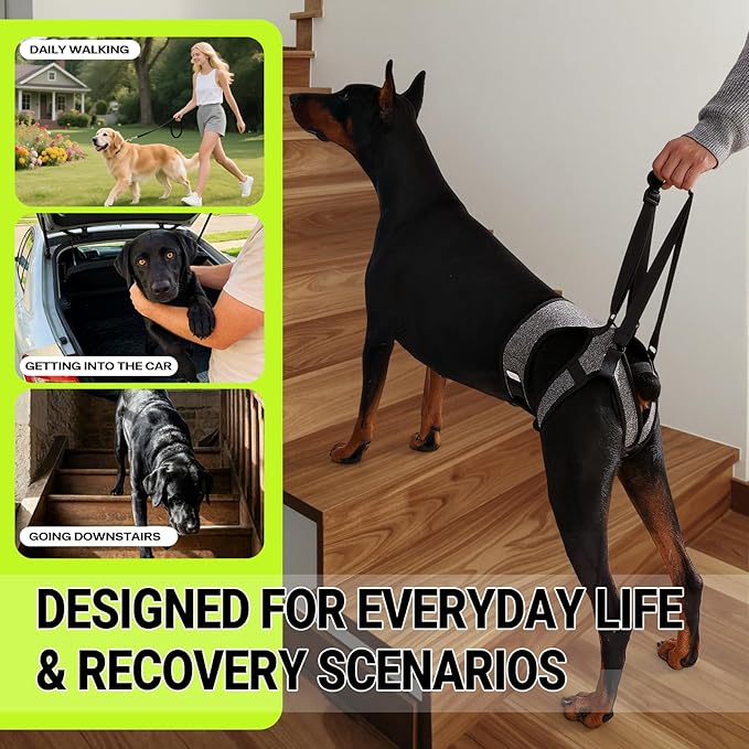 Dog Lift Harness – Adjustable Hind Leg Support Sling for Medium & Large Dogs, Soft Padded Mobility Aid for Senior, Injured & Arthritic Dogs