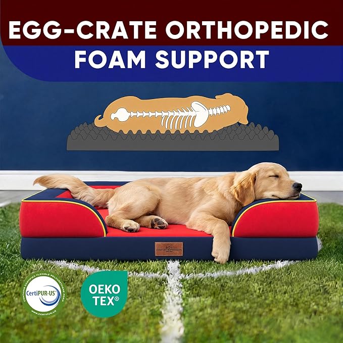 Comfort Expression Orthopedic Dog Bed for Large Dogs 36x27 Inch, Waterproof Egg Crate Foam Large Pet Bed with Removable Bolsters, Dog Couch with Washable Cover & Non-Slip Bottom, Kansas