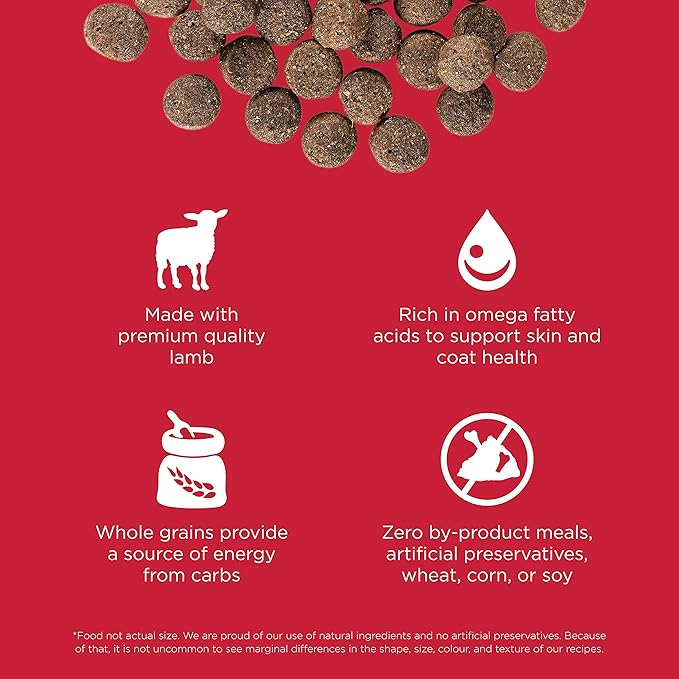 Go! Solutions Skin + Coat Care Lamb Dry Dog Food with Grains, Chicken-Free, Healthy Kibble with Omega-3s & 6s for Soft, Shiny Fur, for Puppies, Adults, & Seniors, 12 lb Bag