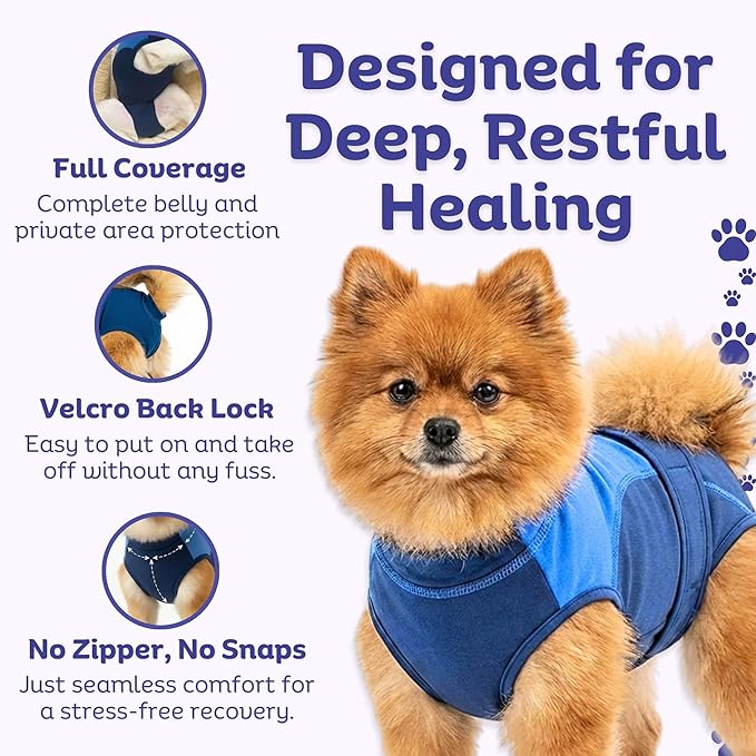 Surgi Snuggly Dog Surgery Recovery Suit – Dog Onesie for Post Surgery Recovery, Female Spay & Male Neuter – Surgical Suit for Dogs, E-Collar Cone Alternative, Double Blue - Medium Long, 16" - 19" (EC)