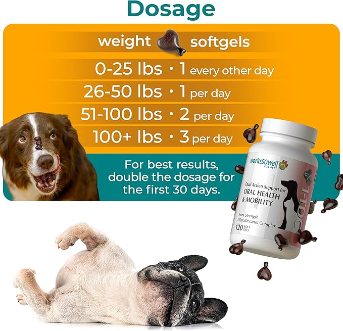 1TDC WorksSoWell Dual Action Hip and Joint Supplement for Dogs & Cats - for Large & Small Breed - Great for Oral Health, Stamina Recovery & Arthritis Pain Relief -120 ct