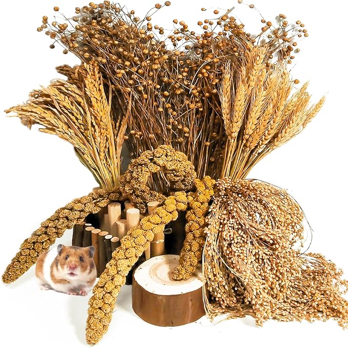 Natural Hamster Grain & Herb Habitat Deocr, Edible Hamster Sprays Herbs Bedding Mate, Hamsters Cage Enrichment Decoration Accessories for Gerbil Dwarf Syrian Hamsters Mouse Guinea Pig Mice