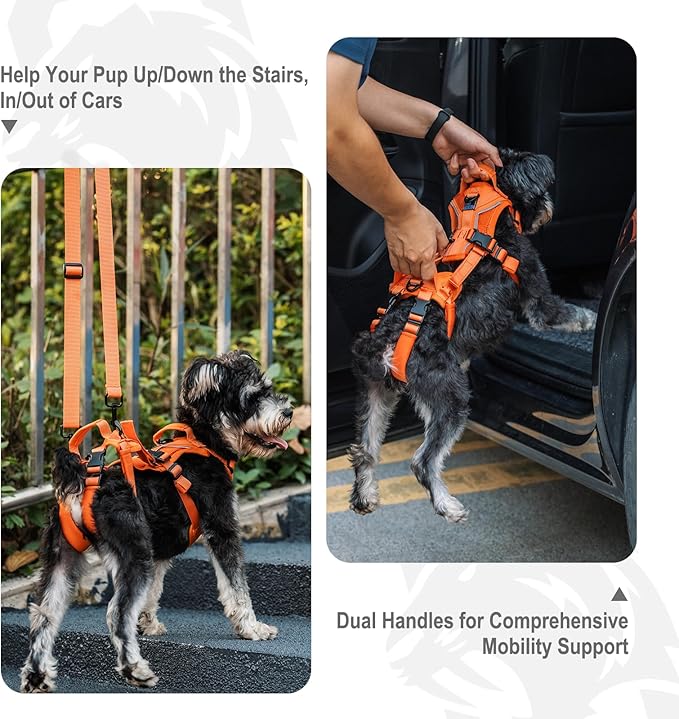 OneTigris Dog Lift Harness for Small Dogs XS, Dog Sling Carrier for Small Dogs, Full Body Lift Vest with Reflective Straps, Support Harness for Back Legs (Orange, XX-Small)