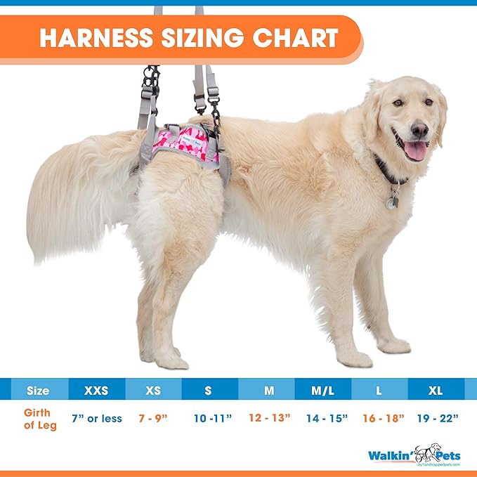 Walkin’ Warrior Rear Dog Harness for Mobility, Adjustable Handles, Rear Leg Dog Harness for Senior Dogs and Pets Recovering from Surgery