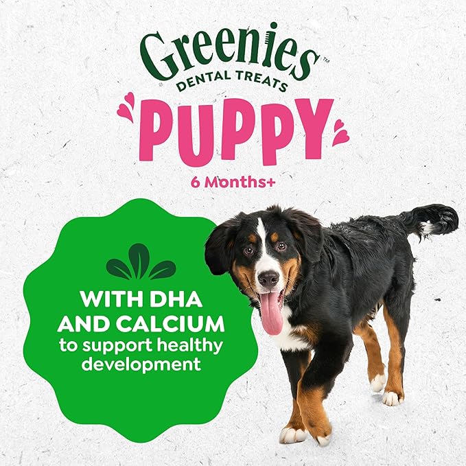 Greenies Dog Treats Veterinarian-Recommended Natural Dental Puppy Treats Teenie Size,12 oz. Pack,43 Count (Pack of 2)