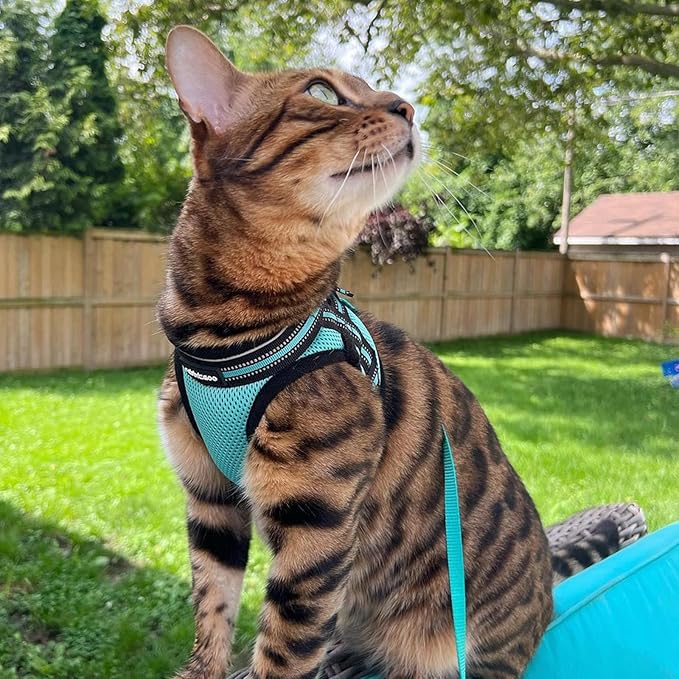 rabbitgoo Cat Harness and Leash Set for Walking Escape Proof, Adjustable Soft Kittens Vest with Reflective Strip for Cats, Comfortable Outdoor Vest, Green, XL