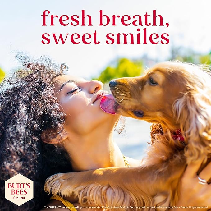 BURT'S BEES FOR PETS Dental Treats for Dogs with Manuka Honey & Ginger, Holistic, Plant-Based Oral Care, 98% Natural Origin Formulas, Peanut Butter Flavor, Dog Treats Small Dogs, Sz Small 10ct, 7 oz