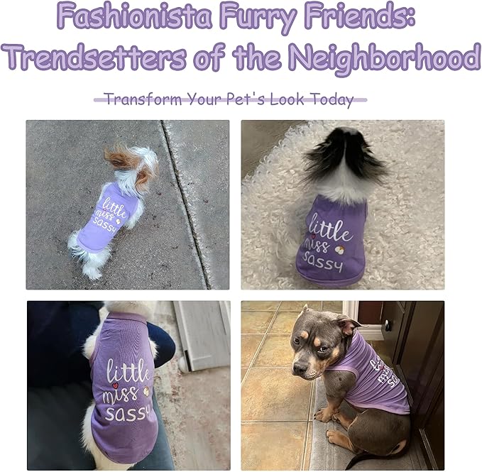 Paiaite Dog Clothes Fashionable Sleeveless Pet Vest: 'Little Miss Sassy' Printed Cotton Dog Shirt, Ideal for Small, Medium, and Large Breeds, Ensuring Comfort and Breathability Purple S