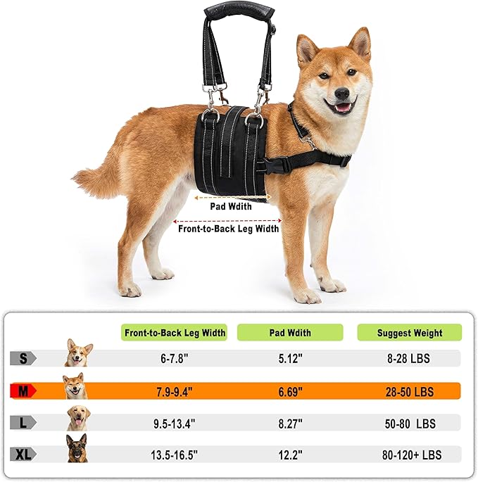 CWV Adjustable Dog Lift Harness for Large Dogs, Soft and Portable Dog Dling for Large Dogs Hind Leg Support, Help em up Harness for Senior, Injured, Disabled and After Surgery Male Dogs, Medium