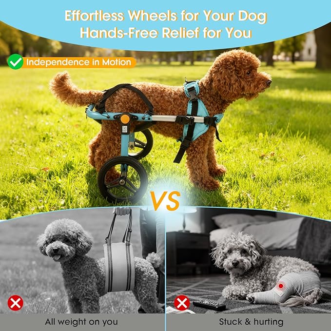TailWaggers Dog Wheelchair for Back Legs | Adjustable Mobility Aid | All-Terrain Wheels