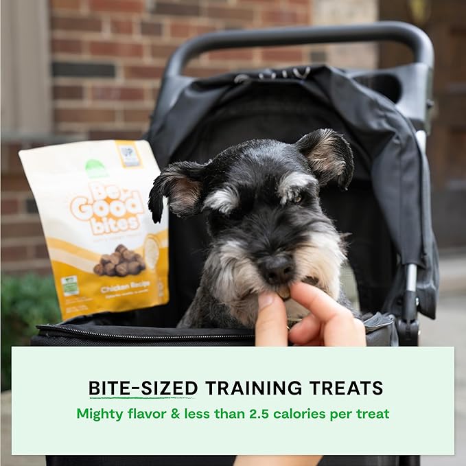 Open Farm, Be Good Bites, Soft Dog Training Treats, Small & Chewy, Made with Ethically & Sustainably Sourced Ingredients, Non-GMO Fruits & Grains, Chicken Recipe, 6oz Pouch