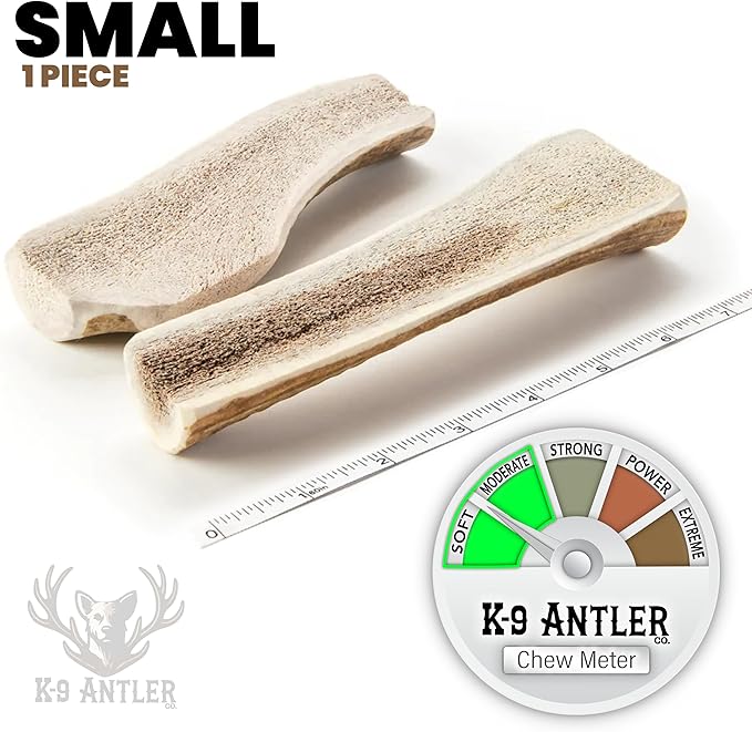Elk Antlers for Dogs – Small Split (4-6 Inch), Irresistible Chew, USA Sourced, Naturally Shed & Ethically Harvested