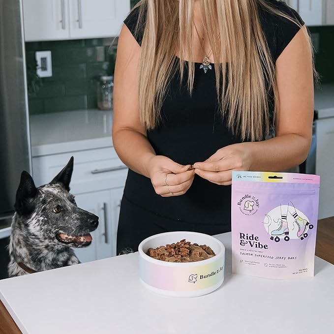 Bundle x Joy Ride & Vibe Salmon Jerky for Dogs - 16 Oz Bag, Natural Superfood - Corn, Poultry, Soy & Grain Free Salmon Dog Treats Made in USA Only