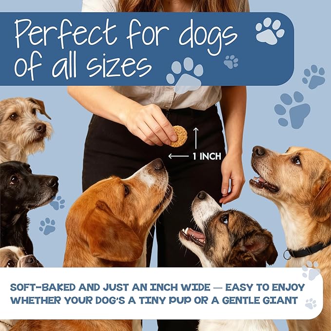 DAWG'S CHOICE Soft & Chewy Dog Treats, Peanut Butter & Honey Snacks for Dogs, Dog Treats Made in USA, Human Grade, All-Natural Ingredients, High Value Training Treats, for Small, Medium & Large Dogs