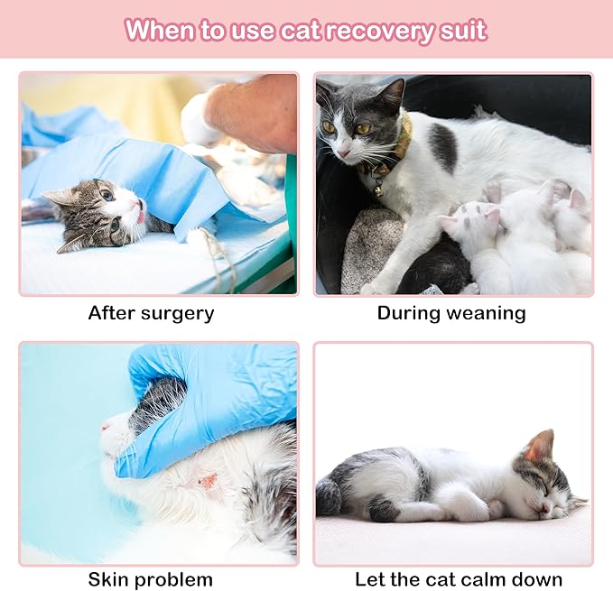 PUMYPOREITY Cat Recovery Suit - Female Kitten Onesie for Neutered/Abdominal Wound/Skin Damage/Weaning, M, Pink