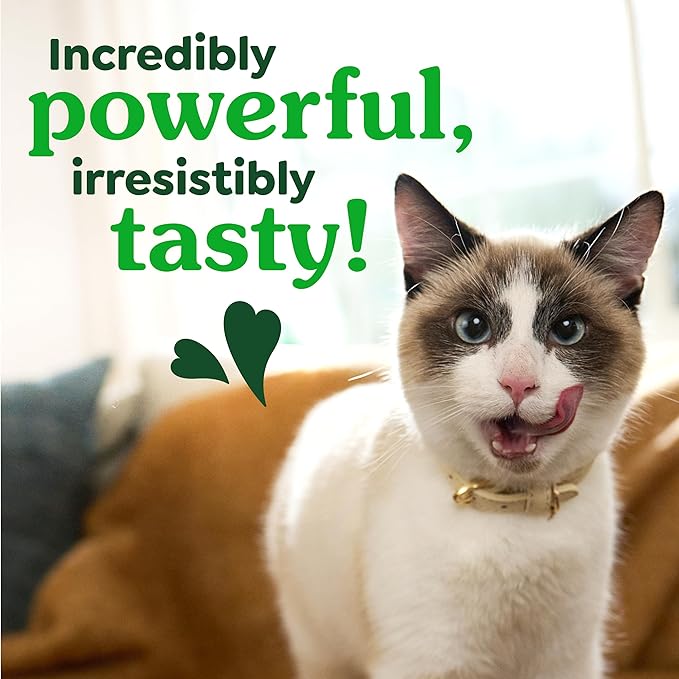 Greenies Cat Treats, Feline Veterinarian-Recommended Adult Natural Dental Cat Treats, Oven Roasted Chicken Flavor, 9.75 oz. Tub