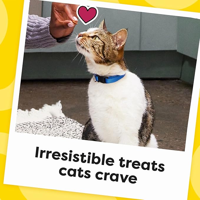 Temptations Cat Treats, Classic Crunchy and Soft Cat Treats, Shrimpy Shrimp Flavor, 6.3 oz. Pouch