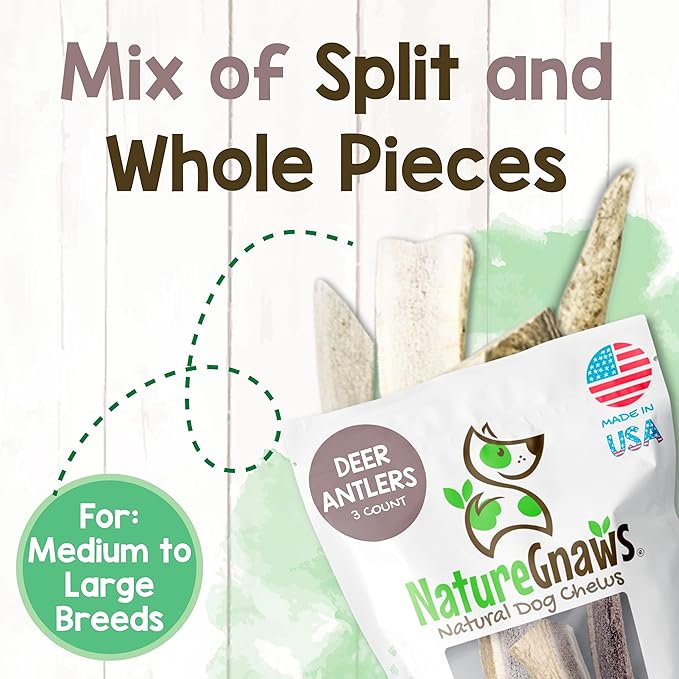 Nature Gnaws USA Deer Antlers for Dogs 4-7" (3 Count) - Mix of Split and Whole Pieces - Long Lasting for Small and Medium Breeds - Natural Dog Chew Bones