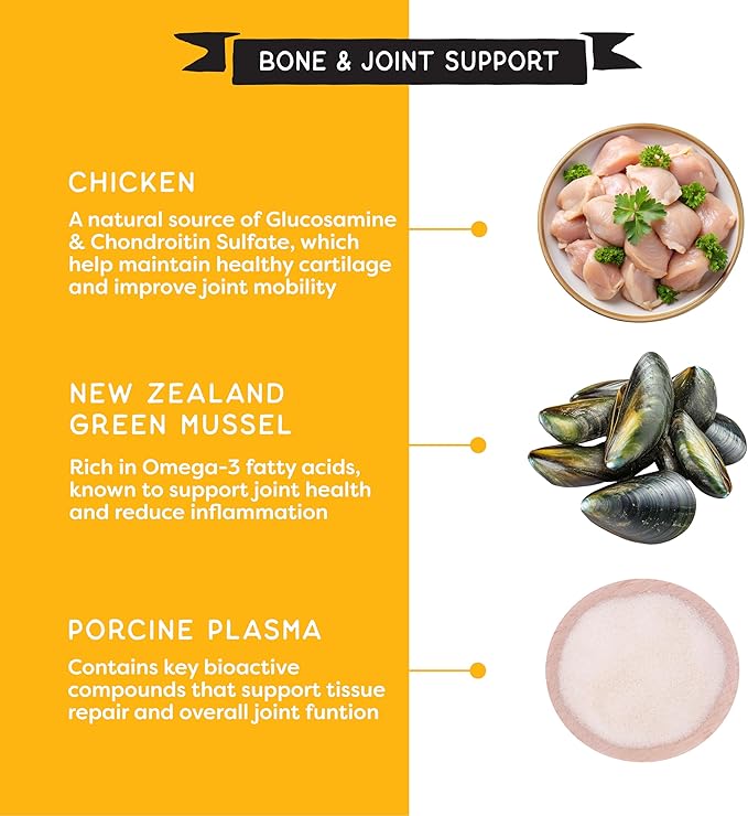 CHAMPS Soft Healthy Dog Treats for Joint Support & Training Snacks Made with Glucosamine, Chondroitin Sulfate & New Zealand Green Mussel - Savory Chicken - 16 oz