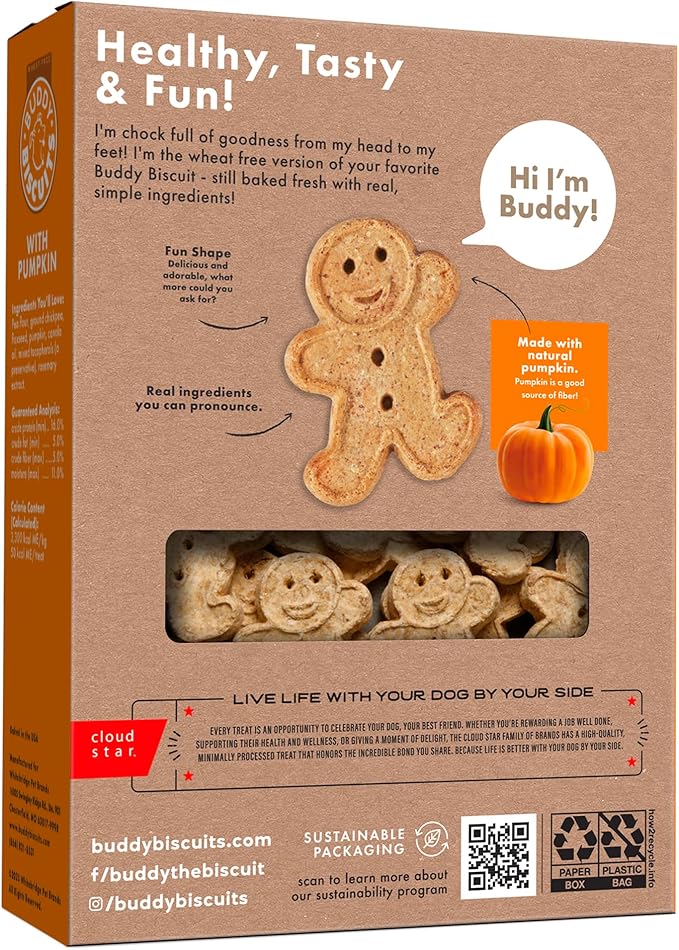 Buddy Biscuits Crunchy Wheat Free Halloween Dog Treats with Pumpkin, 14 oz. Box (Pack of 2)