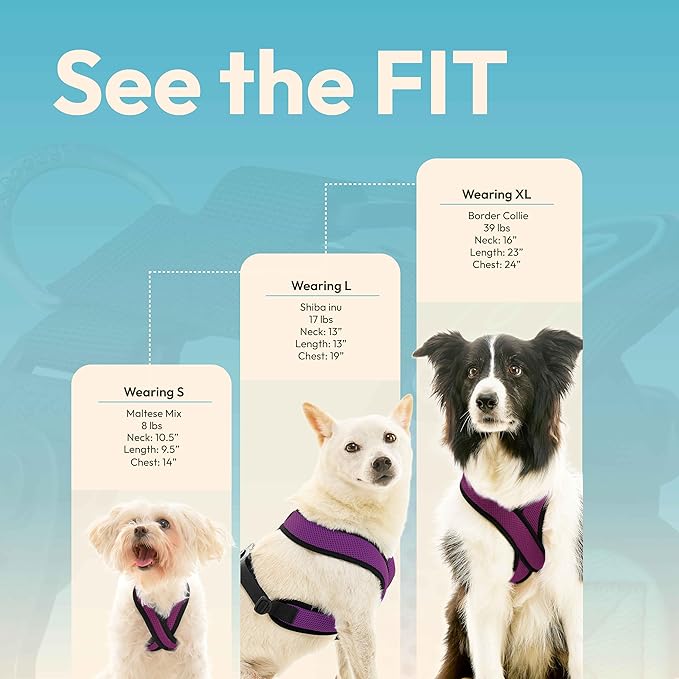 Gooby Comfort X Harness Dual Snap Mesh in Dog Harness - Violet, Small