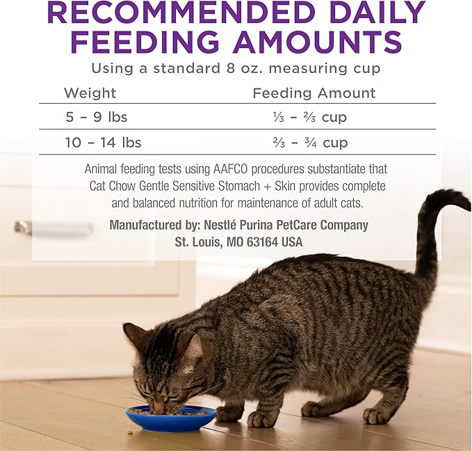 Purina Cat Chow Gentle Sensitive Stomach and Skin Dry Cat Food with Turkey - 13 lb. Bag
